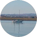 JORGE ESTRELLA G. profile picture