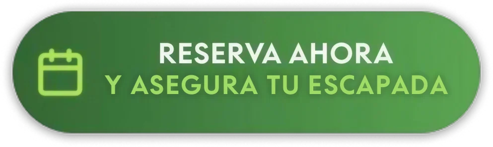 Reserva ahora tu coche de alquiler en Marbella y asegura tu escapada
